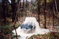 Example of an SSO within Allen County